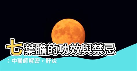 七葉蘭禁忌|香蘭葉功效大公開：降肝火、潤肺、解酒、治痛風 